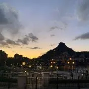 ホワイトの画像