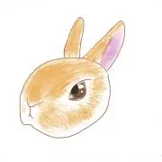 みいの画像