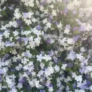 セール最終日⚠️プロフ必読してくださいの画像