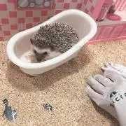 まる