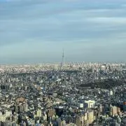 ぬんたまの画像