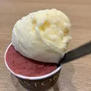 kanaの画像