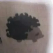 はりねずみ☆