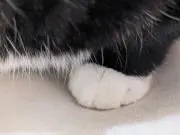 るい※プロフご確認下さい。の画像