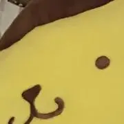 kumaの画像