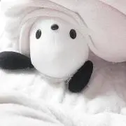 ☆K☆の画像