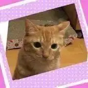 ルンルン♪⭐︎プロフ必読⭐︎の画像