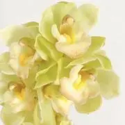 K⭐︎Kの画像