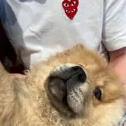 ニックの画像