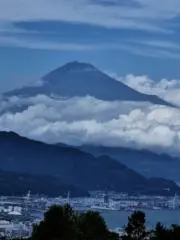 ふう　☆他の出品物も是非ご覧下さい☆の画像