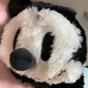 まこまこちゃんの画像