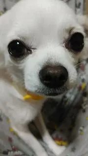 きち※プロフィール必読でお願いします！の画像