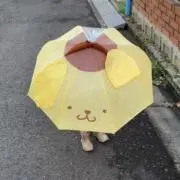 おかゆの画像