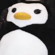 うさぎの画像