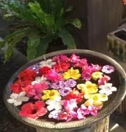月の朝
