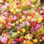 ★izumi★ プロフ確認！