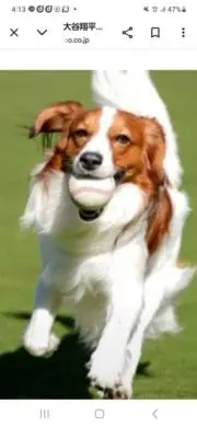 *m*の画像