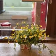 てんぷるの画像