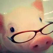 こぶた