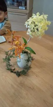 somariの画像