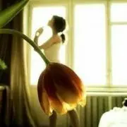 クロネコなつめの画像