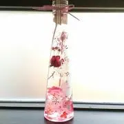 niko☆の画像