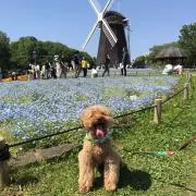 ma☆の画像