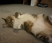 まっさー