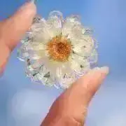 maq