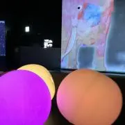 ☆ひな★