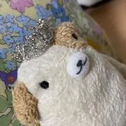 chafchaf❁プロフィール必読