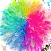 ⭐︎U-moon⭐︎の画像