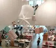 みーの画像