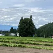 LINの画像