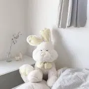 みの画像