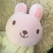 なおなおちゃんの画像
