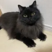 みーちゃん♡の画像