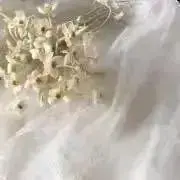 いちごの画像