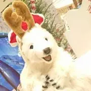 AMの画像