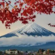りりたんの画像