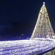 りくままの画像