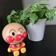 まゆうまゆう