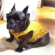 ♡ohanadoo♡