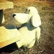 蜜柑人の画像