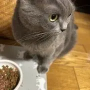 みーちゃん