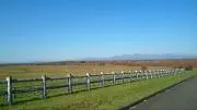 ぴんきー(プロフ必読✿)