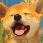 とっも