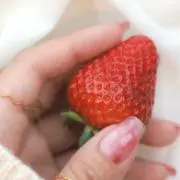 ゆきいちご| コメント内にてセール実施の画像