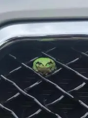 M-ACE
