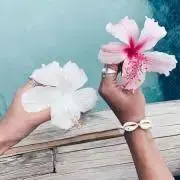 はちみつの画像